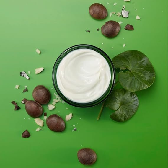 Weleda Skin Food Face Night Cream, Night Moisturiser for Dry Skin - Image 3